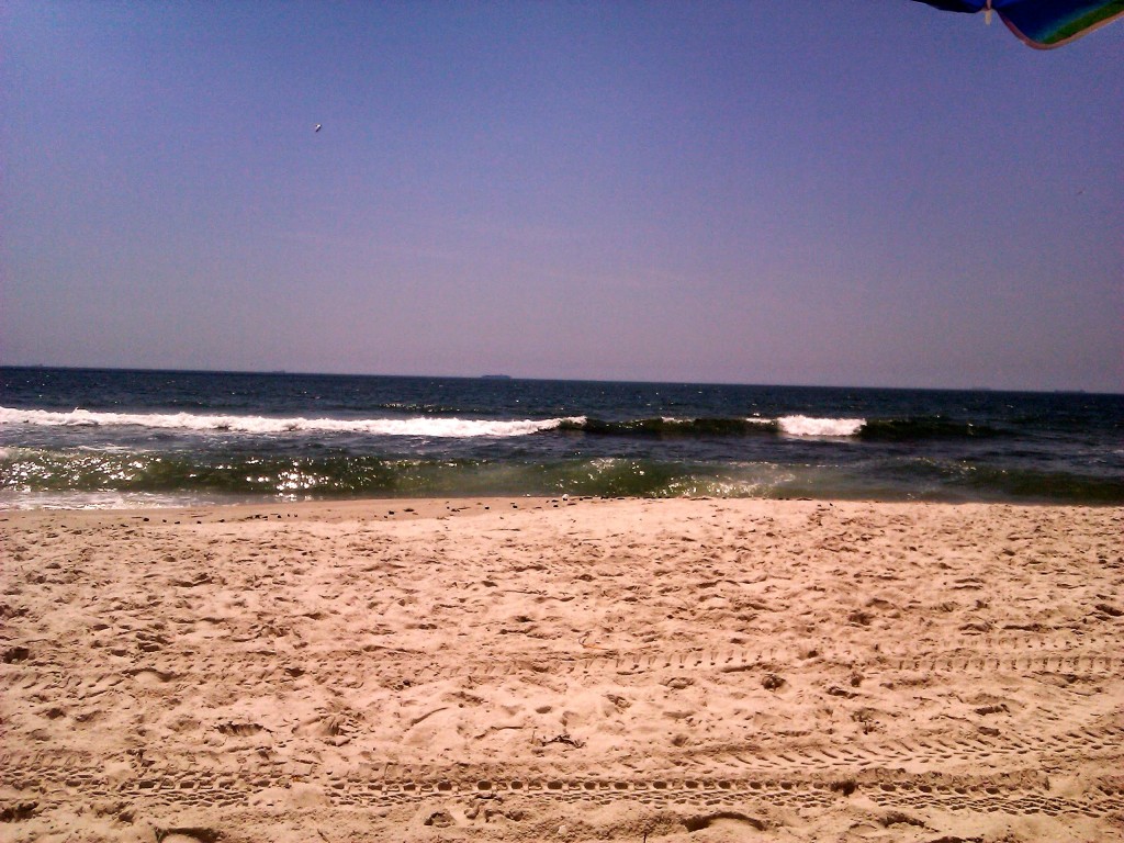 Last Summer at Long Bech, photo by Samantha Mosher