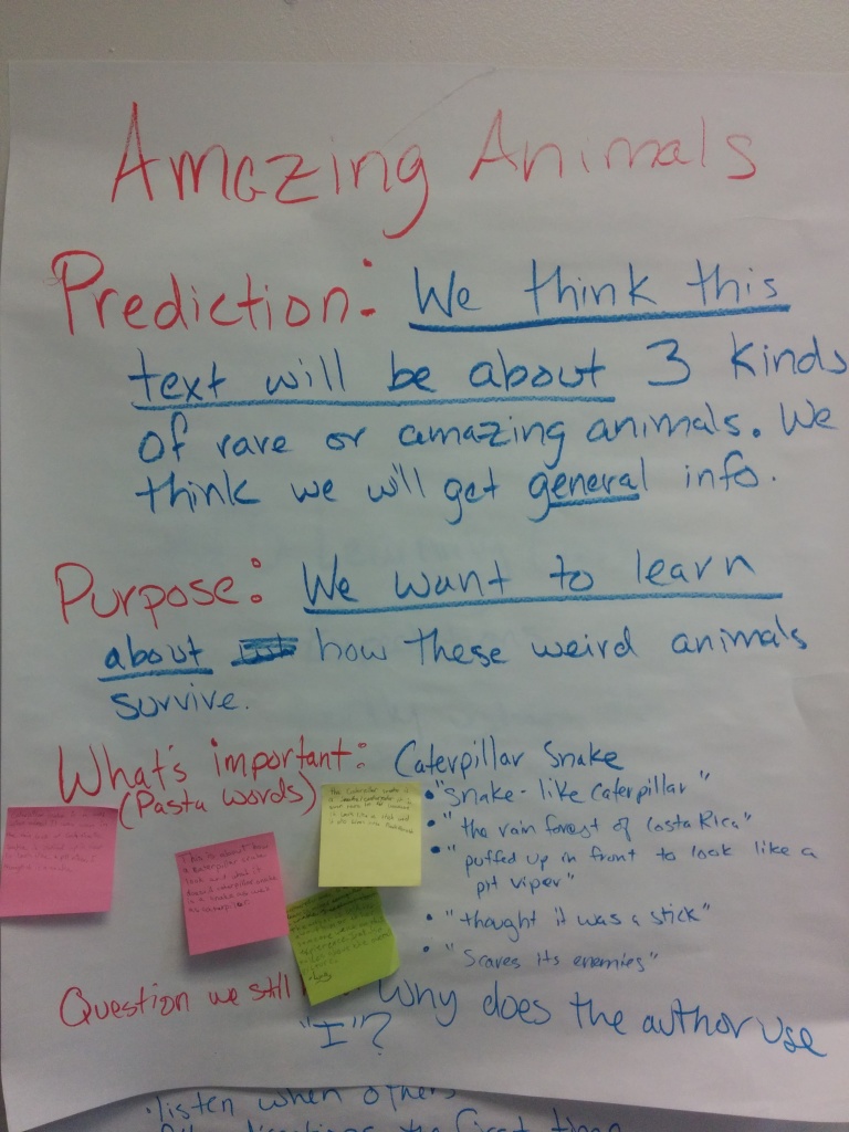 Close reading guided practice