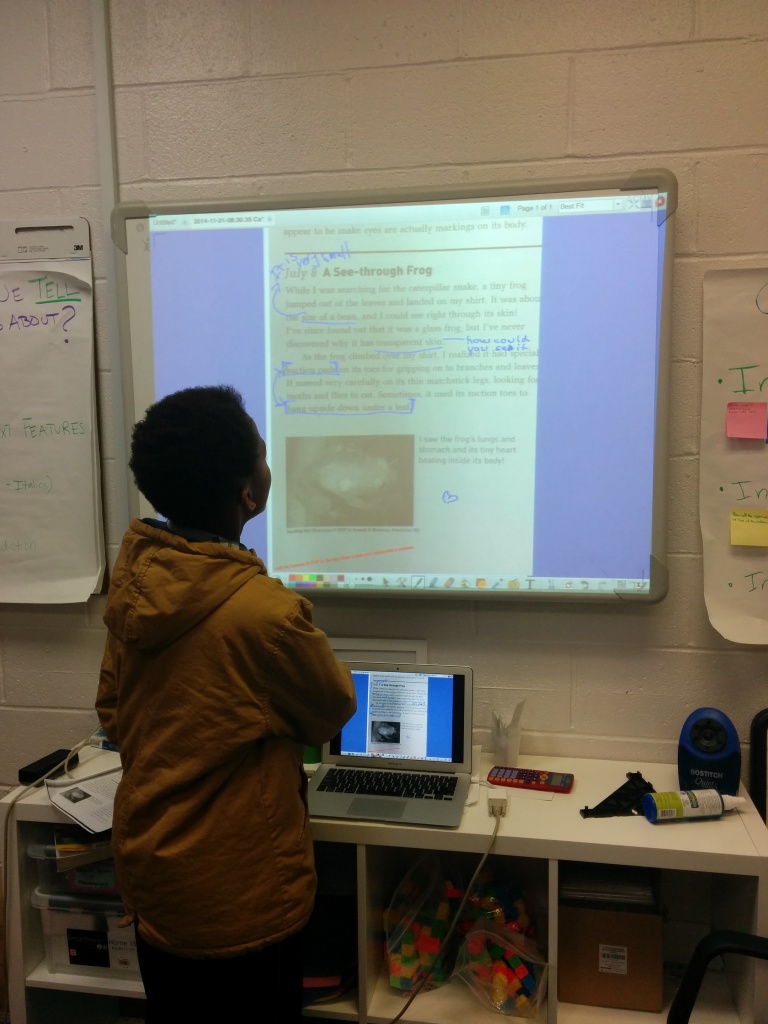 Close reading guided practice