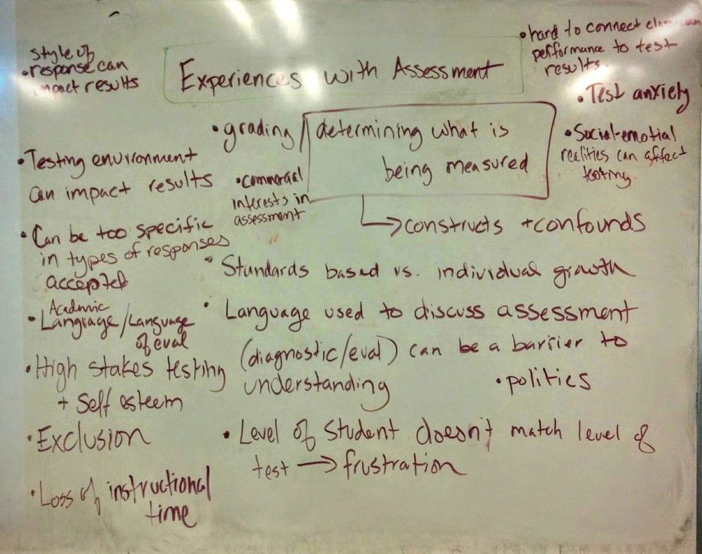 Teacher education: Student feelings about assessment